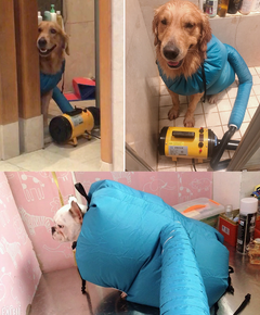 Furry Friend Drying Station