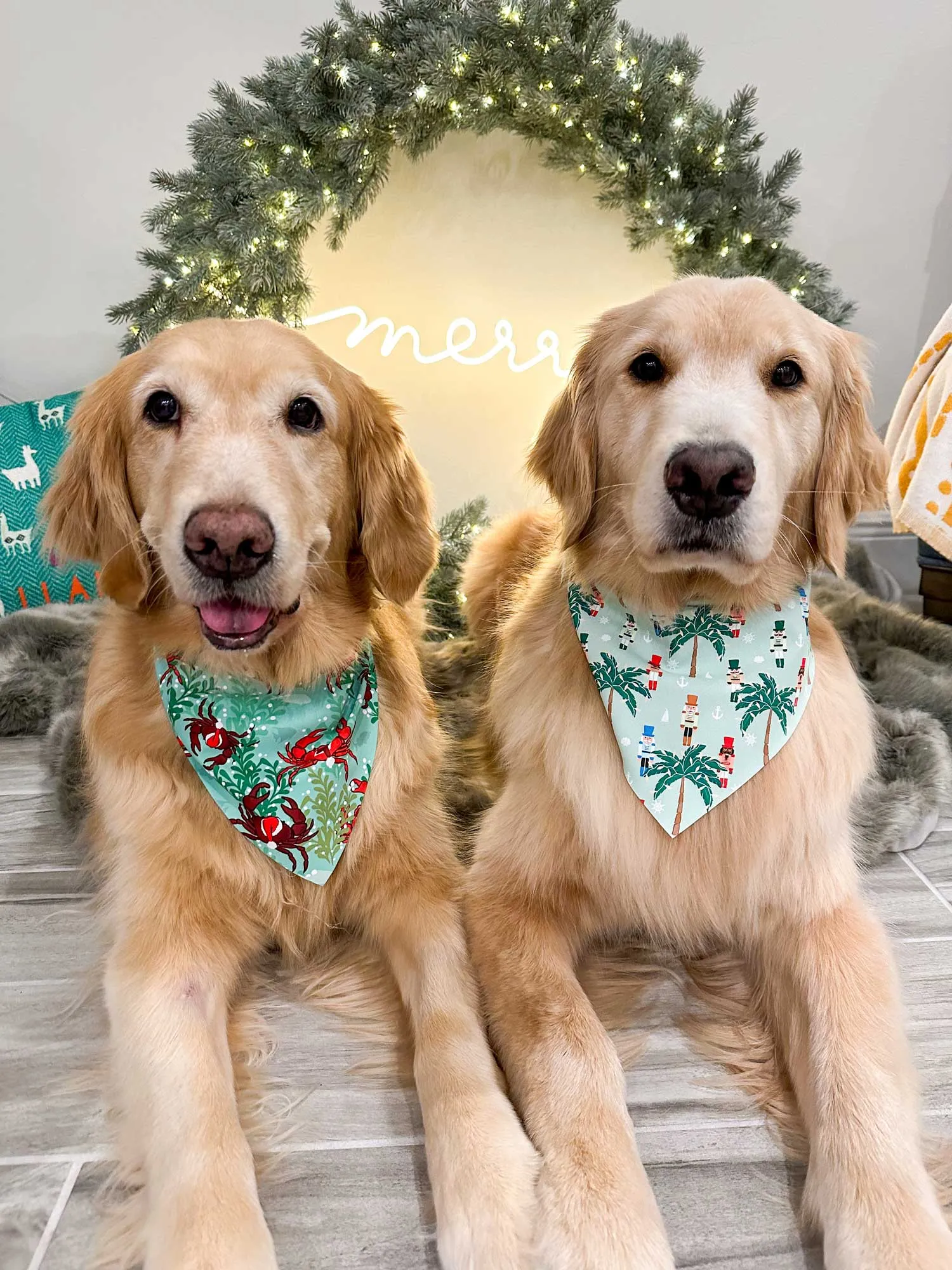 Nauti Nutcrackers Bandana
